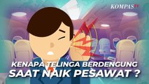 Telinga Berdengung Saat Naik Pesawat, Apa Penyebabnya?