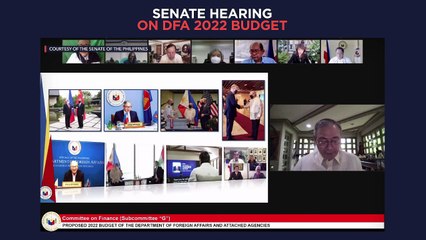 Senate hearing on proposed 2022 budget for DFA