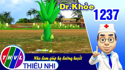 Dr. Khỏe - Tập 1237: Nha đam giúp hạ đường huyết