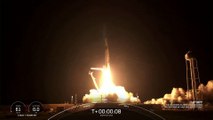 Turismo spaziale, la svolta: 4 civili nello spazio con il razzo SpaceX
