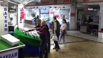 Karadeniz’de balık bolluğu