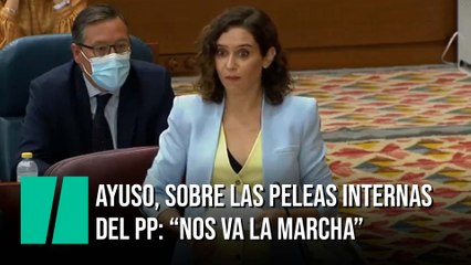 Ayuso, sobre las peleas internas del PP: "Nos va la marcha"