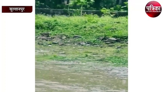 मूसलाधार बारिश और तेज हवाओं से उखड़े पेड़ व टूटे बिजली के खंभे