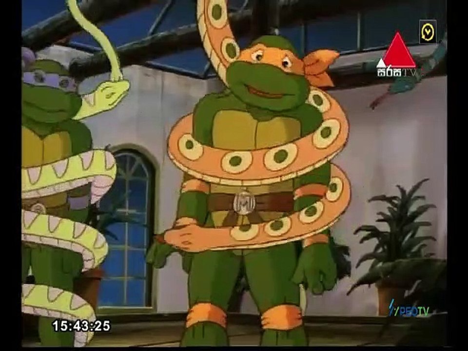 NT Ep 26 - SNAKES ALIVE