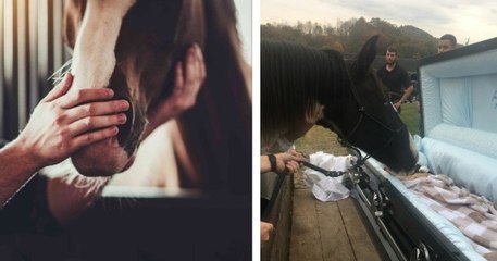 Ce cheval dit adieu à son propriétaire lors de son enterrement en lui donnant « un dernier baiser »