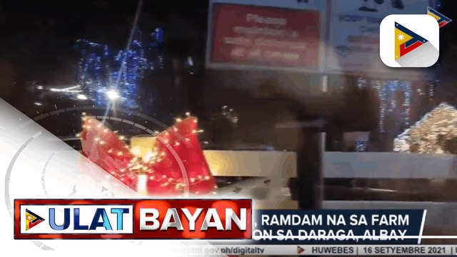 Diwa ng Kapaskuhan, ramdam na sa farm at tourist destination sa Daraga, Albay