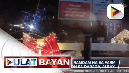 Diwa ng Kapaskuhan, ramdam na sa farm at tourist destination sa Daraga, Albay