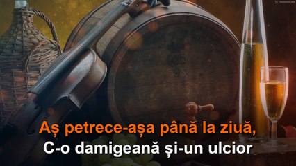 Ion Dolănescu: "Damigeana". Karaoke