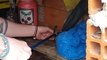 Morador encontra cobra de 1,5 metro em quarto de ferramentas em Jaraguá do Sul