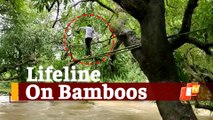 Rain Havoc: Mayurbhanj Villagers Put Life At Stake By Crossing River With Bamboo On Trees