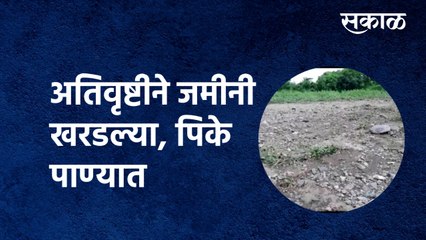 Aurangabad Heavy Rain | अतिवृष्टीने जमीनी खरडल्या, पिके पाण्यात | Farmer | Crop Damage | Sakal Media