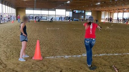 Dog Decides to Herd the Race Competition