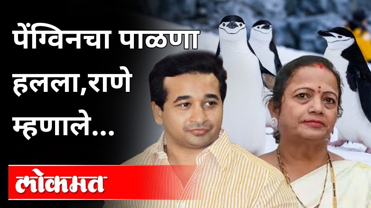पेंग्विन कक्षात दुसऱ्यांदा पाळणा हलला; नितेश राणेंची टीका | Nitesh Rane On Mayor Kishori Pednekar