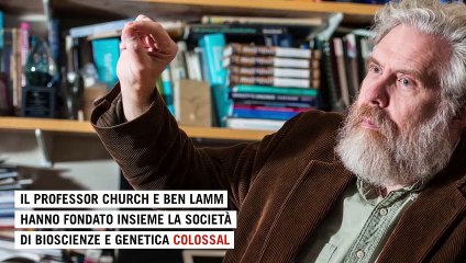 Usa, finanziato progetto per riportare in vita i mammut. Il genetista Redi: "Dubbi etici e pratici"