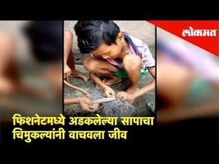 फिशनेटमध्ये अडकलेल्या सापाचा चिमुकल्यांनी वाचवला जीव | Lokmat News