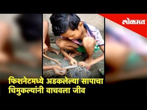 फिशनेटमध्ये अडकलेल्या सापाचा चिमुकल्यांनी वाचवला जीव | Lokmat News