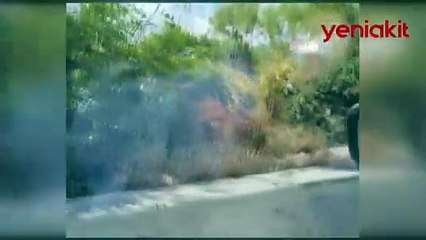 İstanbul'a yeşili kazandıracağız dediler! Yeşil alanlar bile çöpten geçilmez oldu