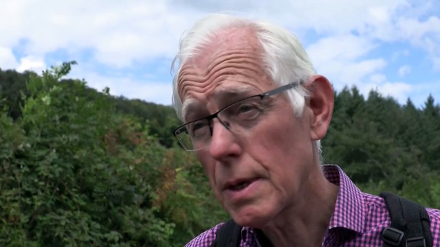 Morvan: des habitants rachètent des forêts pour éviter l'invasion de pins Douglas