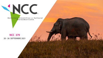 Noticiero Científico y Cultural Iberoamericano, emisión 379. 20 al 26 de septiembre del 2021