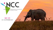 Noticiero Científico y Cultural Iberoamericano, emisión 379. 20 al 26 de septiembre del 2021