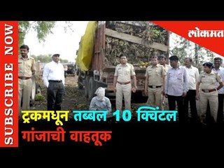 अमरावतीमध्ये केळीच्या ट्रकमधून तब्बल 10 क्विंटल गांजाची वाहतूक | Lokmat News