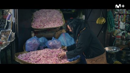 Las huellas de elBulli - Tráiler oficial