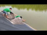 Exhausted Dog Saved From Drowning