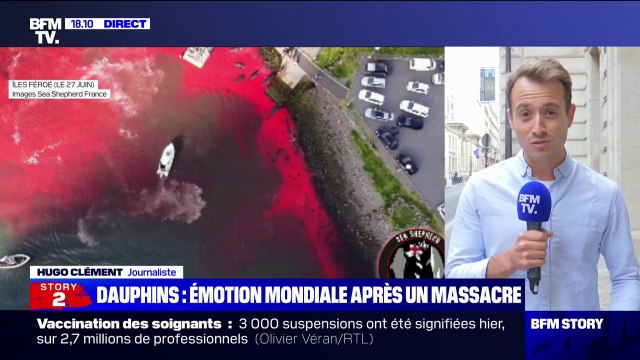 Hugo Clément: Les Îles Féroé ont franchi la ligne rouge avec ce massacre où près de 1500 dauphins ont été tués en une seule fois