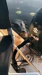 Un crocodile énorme fait une vilaine surprise à des pécheurs
