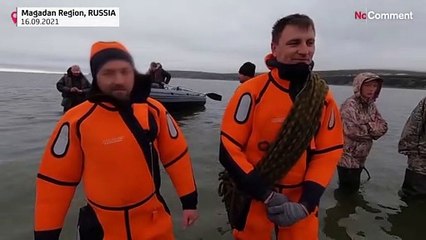 No comment: Delfint mentettek Oroszországban