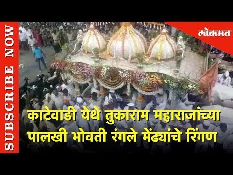 काटेवाडी येथे तुकाराम महाराजांच्या पालखी भोवती रंगले मेंढ्यांचे रिंगण | Pandharpur Wari 2019