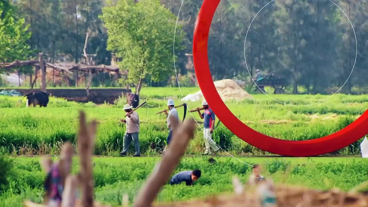 تاريخ 360