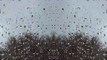 ►    30 Minutes of Rain and Thunder Rainstorm and Thunderstorm Sounds for Sleeping