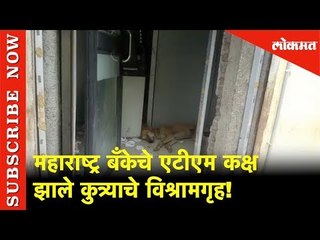 महाराष्ट्र बँकेचे एटीएम कक्ष झाले कुत्र्याचे विश्रामगृह! | Lokmat News