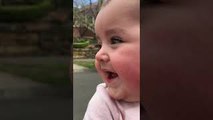 Baby Sees Dogs for First Time