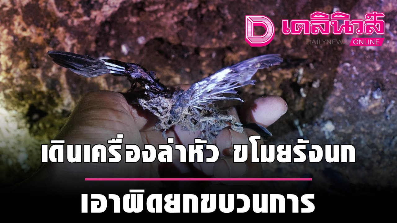 “ผบ.ตร.” ส่ง “บิ๊กใหม่” เดินเครื่องล่าหัว “ขโมยรังนก” เอาผิดยกขบวนการ | เดลิ[HOT]นิวส์ 170964