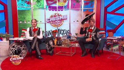 Diego Luna Y Gael García: En Escándalo Millonario