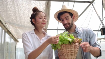 The Best Places to Embrace Your New Pandemic Hobbies