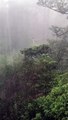 Đi zipline ở Đà Lạt gặp trúng trời mưa, du khách bị kẹt giữa rừng thông
