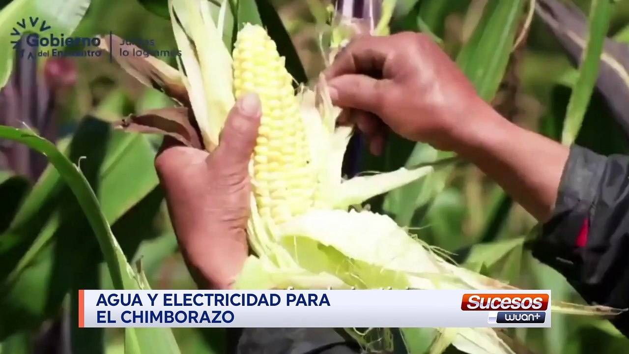 Sucesos WuanPlus | Septiembre 16 - 2021