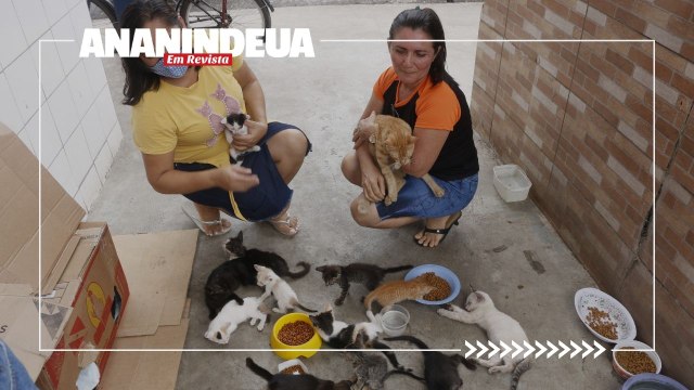 Animais são abandonados na feira do Paar