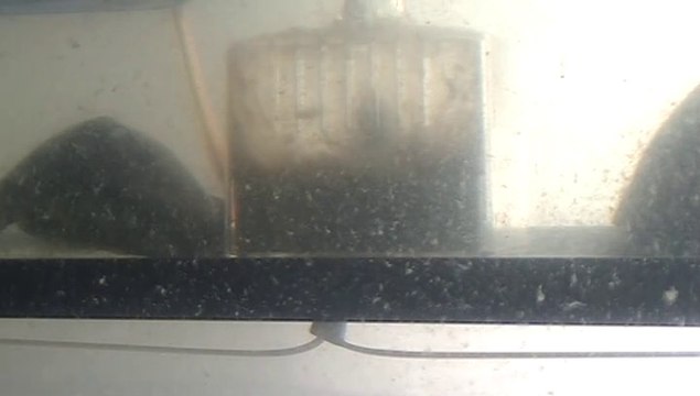 【Lamu chan】3513【ラムちゃん】