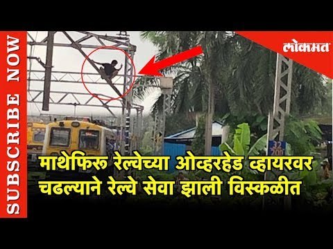 माथेफिरू Thane रेल्वे स्थानकात Overhead व्हायरवर चढल्याने Railway सेवा झाली विस्कळीत | Lokmat
