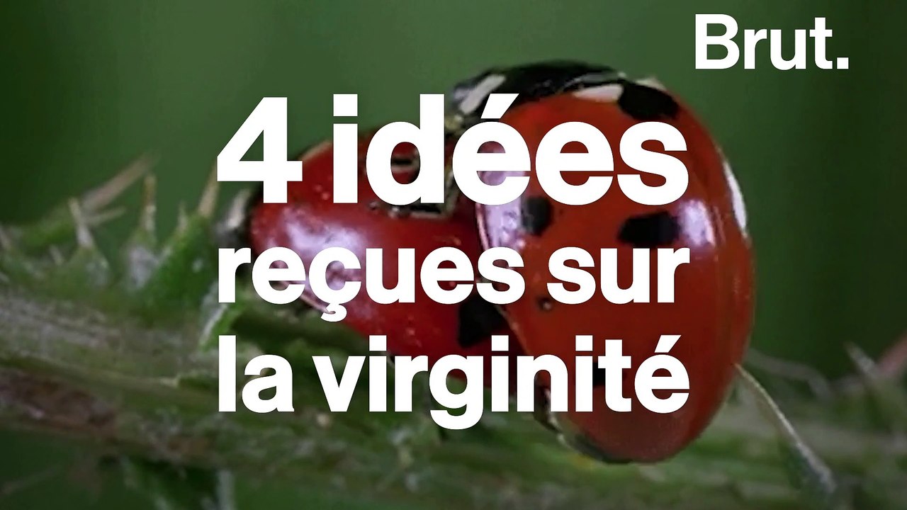 4 idées reçues sur la virginité - Vidéo Dailymotion