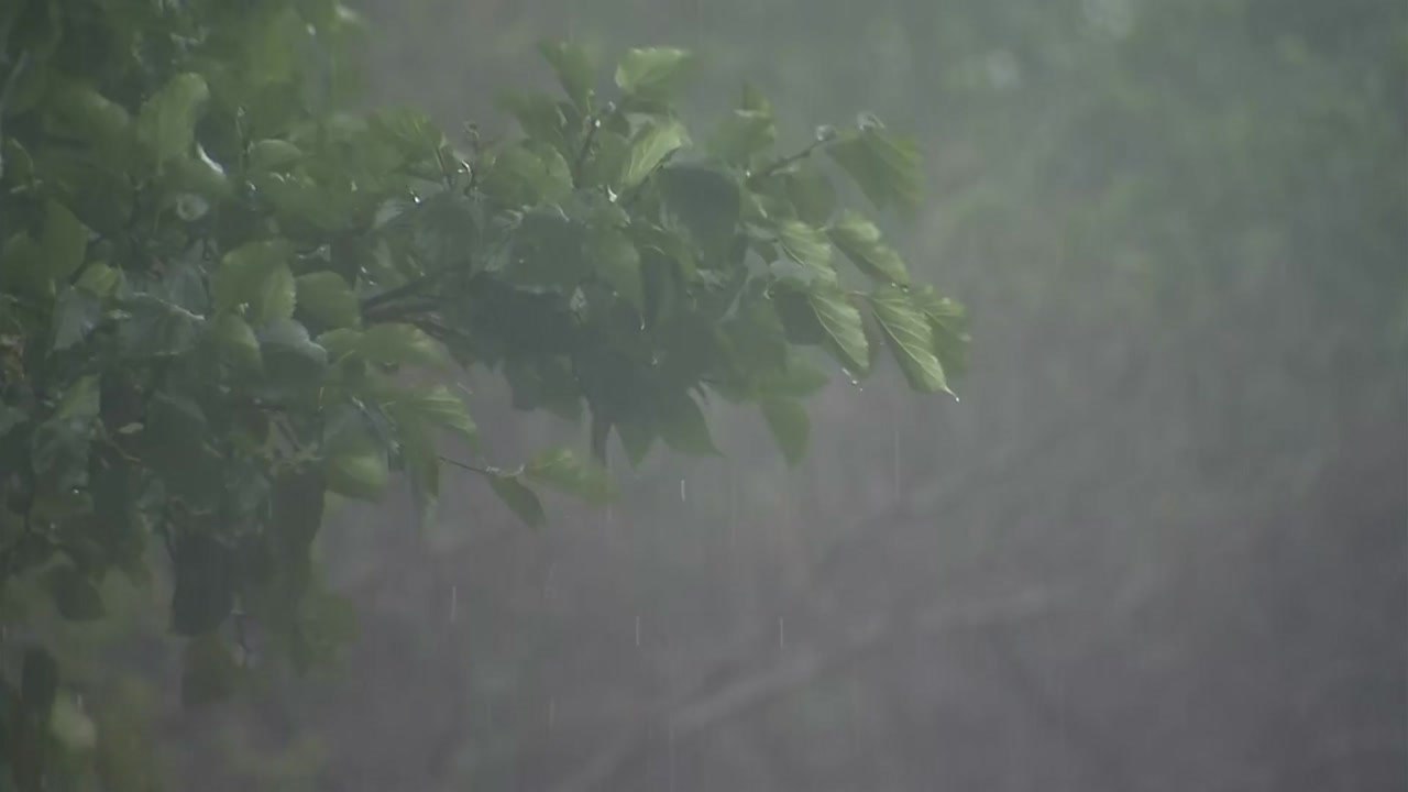 [날씨] 태풍 남해 상 지나 대한해협 통과...점차 남해안 비바람 / YTN