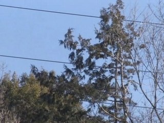 kamen rider kiva basher magnum + final attaque