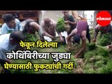 फेकून दिलेल्या कोथिंबिरीच्या जुड्या घेण्यासाठी फुकट्यांची गर्दी | Navi Mumbai