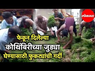 फेकून दिलेल्या कोथिंबिरीच्या जुड्या घेण्यासाठी फुकट्यांची गर्दी | Navi Mumbai