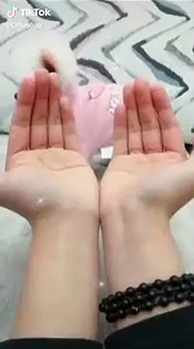 Anjing_Kecil_Yang_Lucu(360p)