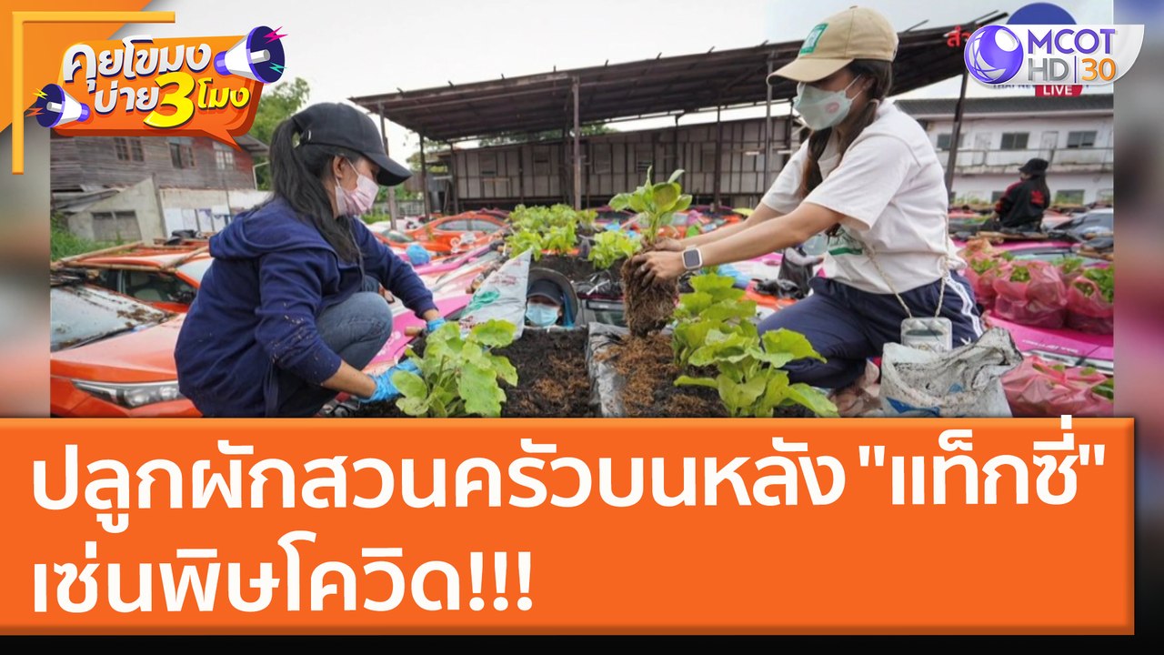 ปลูกผักสวนครัวบนหลัง "แท็กซี่" เซ่นพิษโควิด (16 ก.ย. 64) คุยโขมงบ่าย 3 โมง